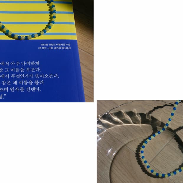 🍋[4월의 레몬]