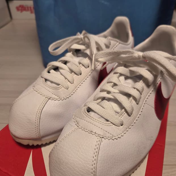 나이키 코르테즈 포래스트검프 2018 270