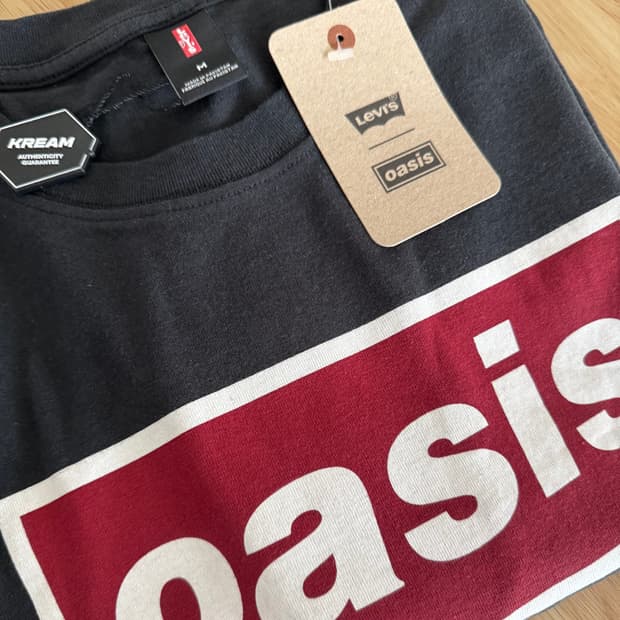 리바이스 오아시스 반팔 M