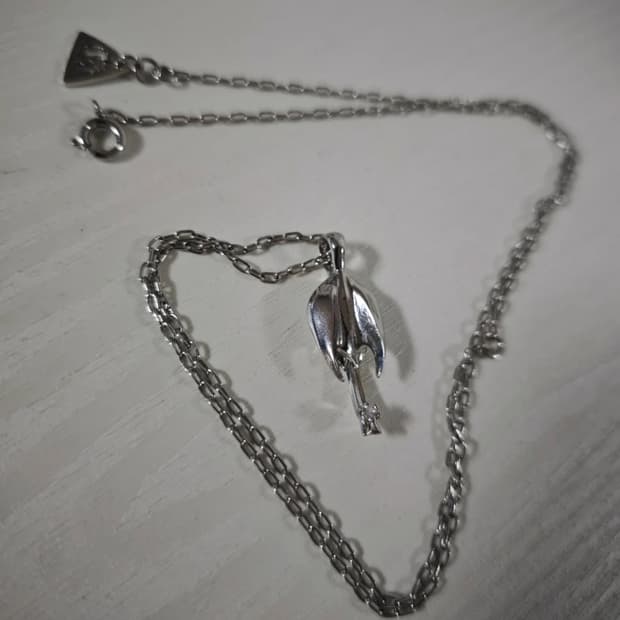 카라미x샤비테일 악테온 장수풍뎅이 목걸이