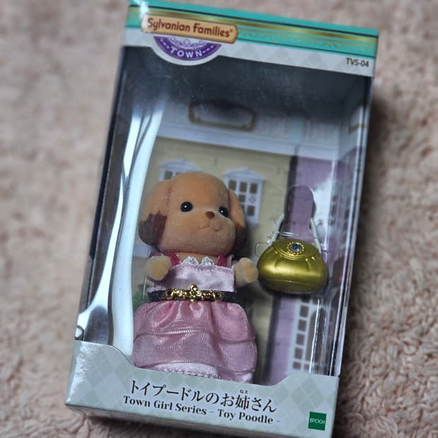실바니안 타운걸 토이푸들 판매합니다