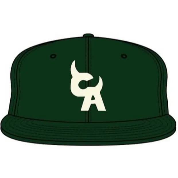 크로마코피아 투어 머천 