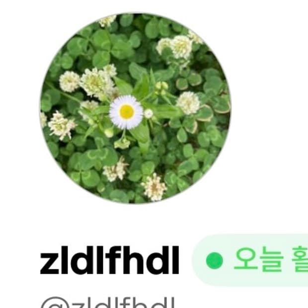 Zldlfhdl님 결제창