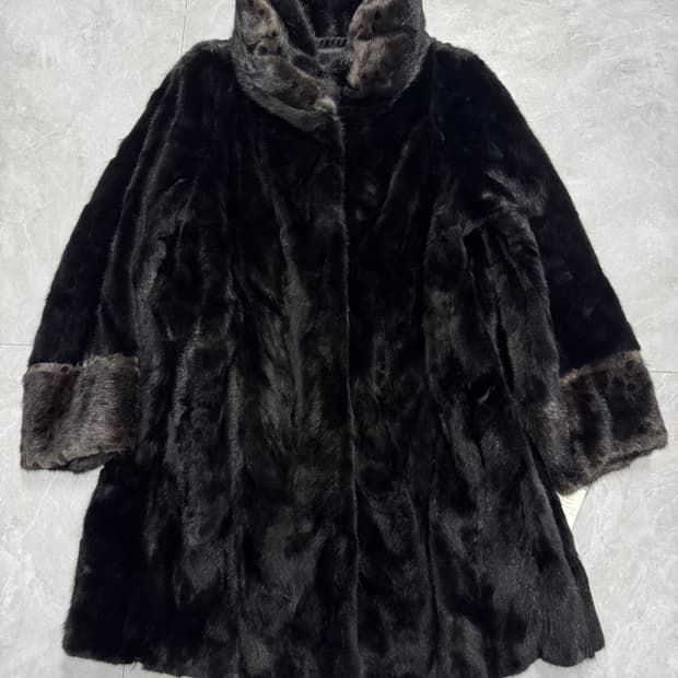 클레버바이진도 미사