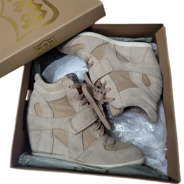 Ash 하이탑 스니커즈 37