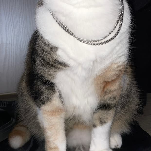 00s Chain Necklace 유니섹스기본실버체인레이어드목걸이 팔찌