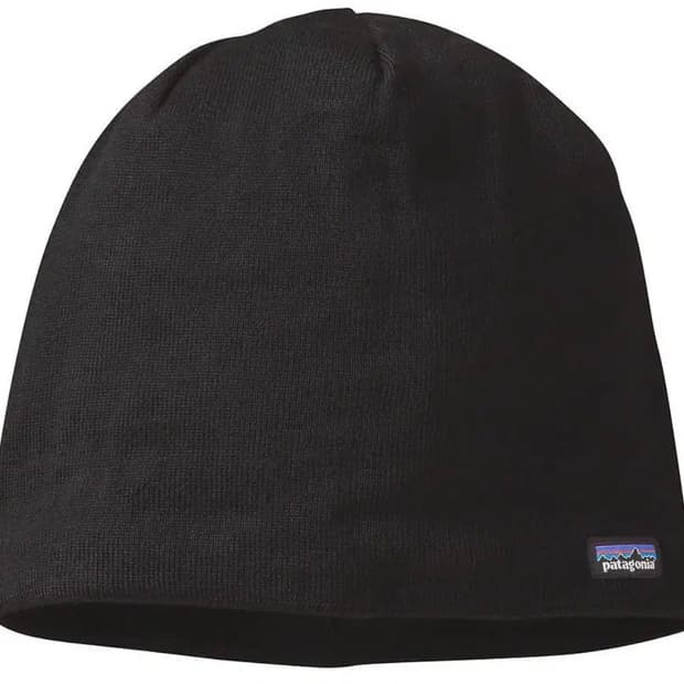 파타고니아 비니