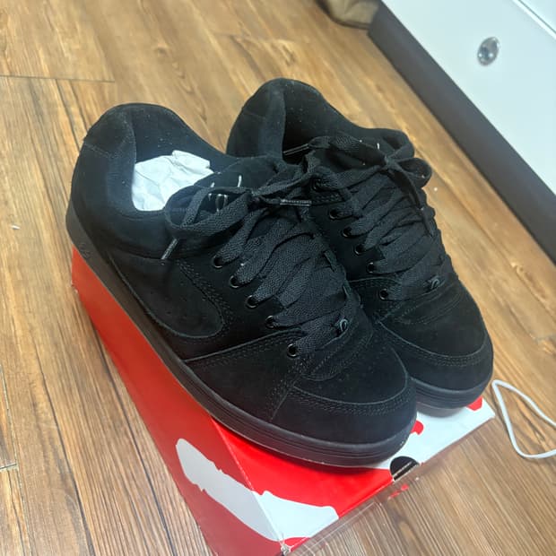 Es 스케이트 보드화 290 1회착