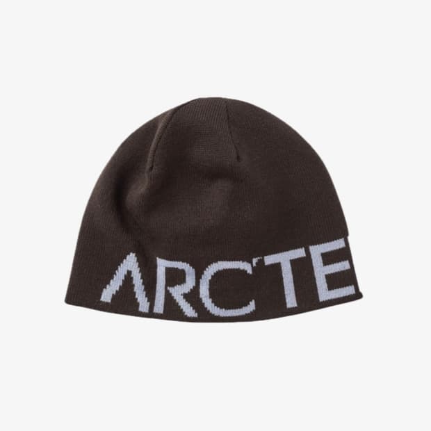 아크테릭스 비니