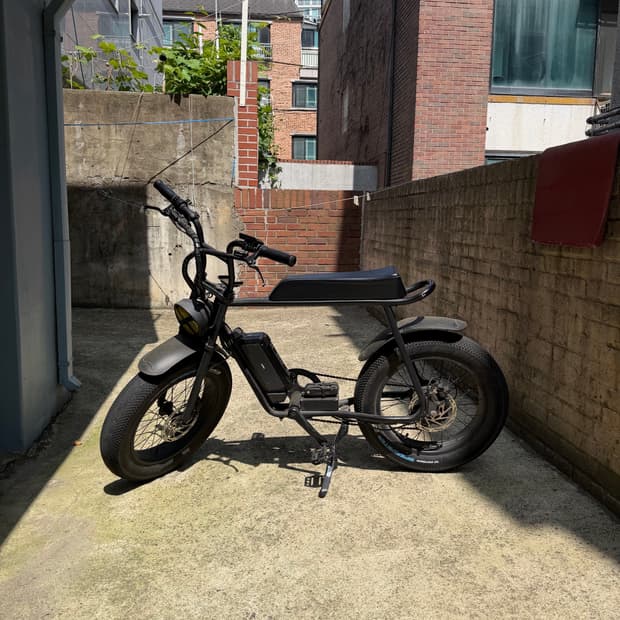 모페즈 바이크 1000w