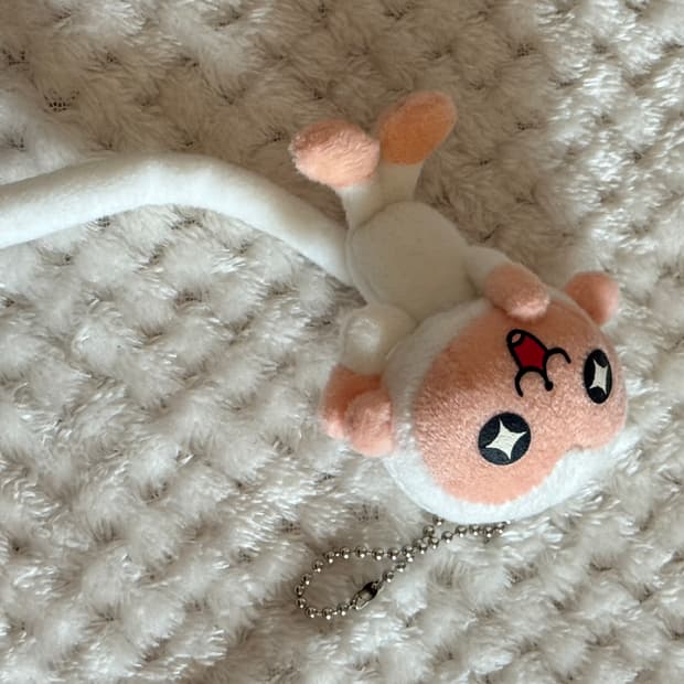 긴꼬리 원숭이 키링