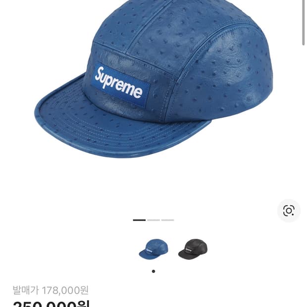 슈프림 오스트리치 엠보스 레더 고어텍스 블루 26ss