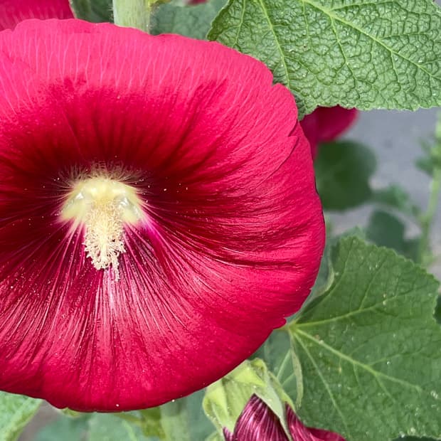 개인결제창 🌷