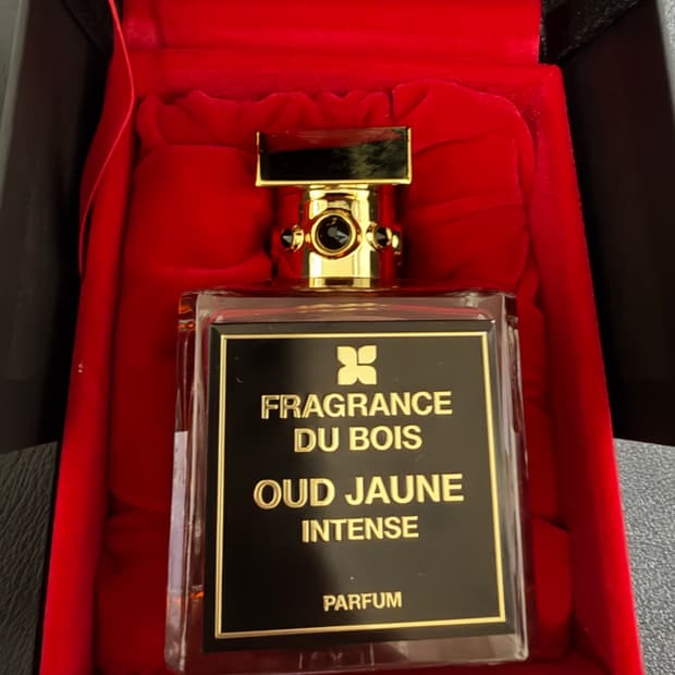 프래그런스 두 부아 오우드 자온 인텐스 100ml