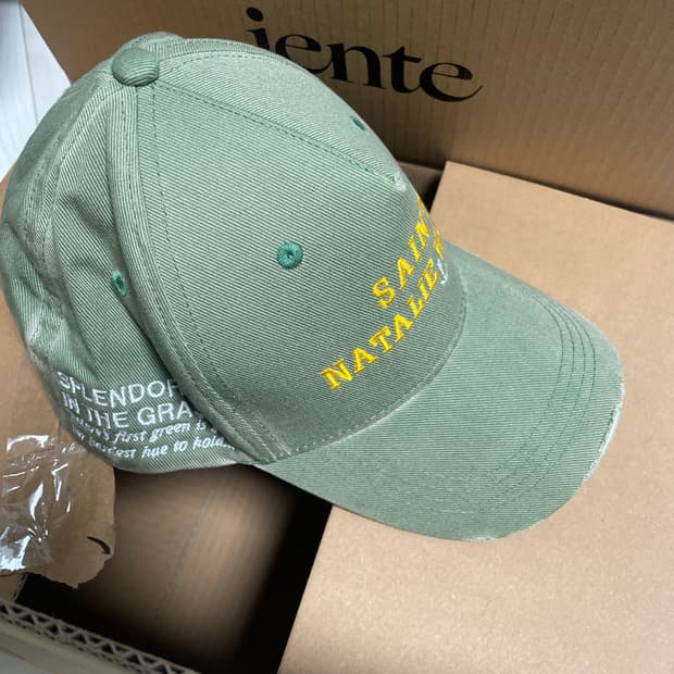 팔리할리우드 나탈리 우드 그린 모자