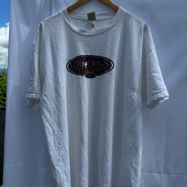 90s USA Big Dogs 빈티지 티 XL