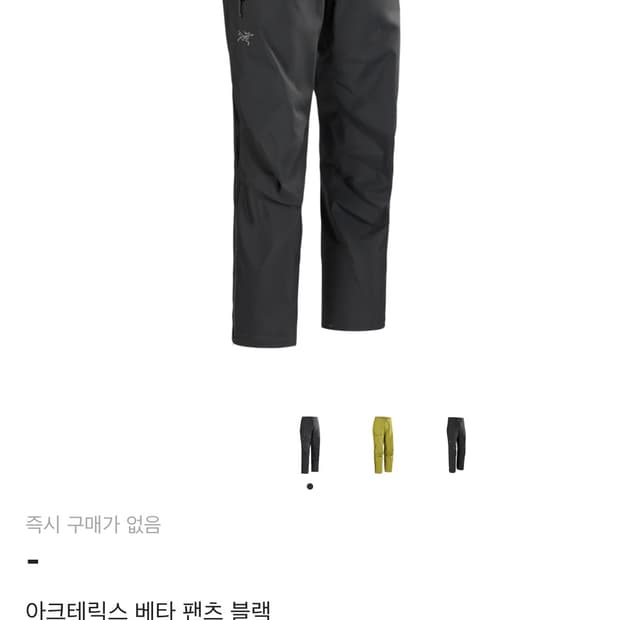 아크테릭스 베타 팬츠