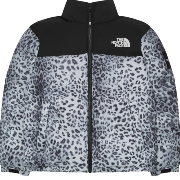 노스페이스 화이트 라벨 노벨티 눕시 다운 자켓 프린트 실버(M)