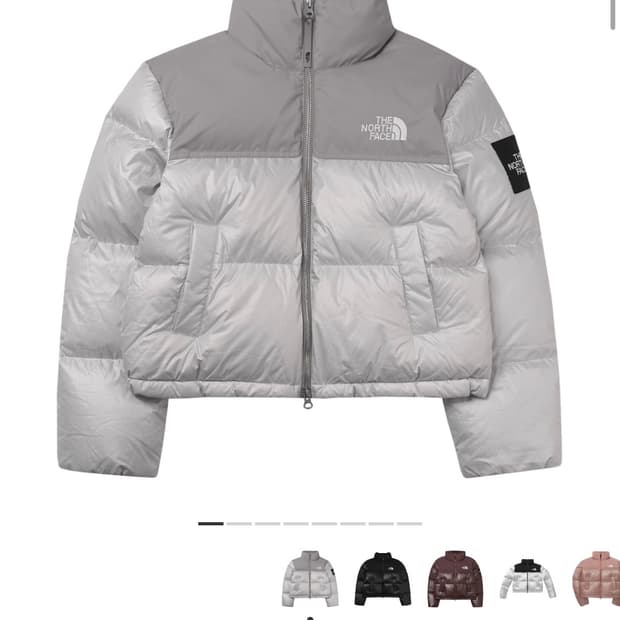 노스페이스 눕시 다운 실버 (S)