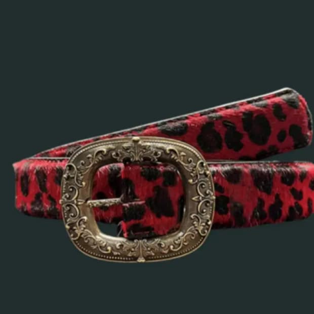 [1] 언더마이카 레오파드 레드 벨트