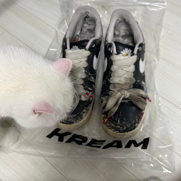 에어포스 파라노이즈1 275