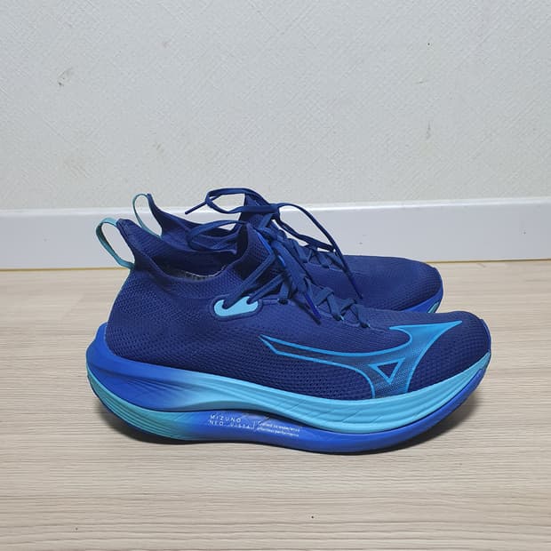미즈노 네오 비스타 남성 런닝화 270