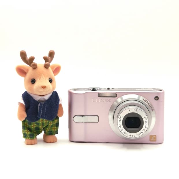 🌸 루믹스 FS2 핑크 ✨ 가볍게 들고 다니기 좋은 감성디카 💕