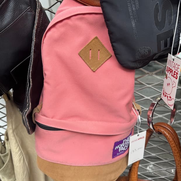 The north face Bag