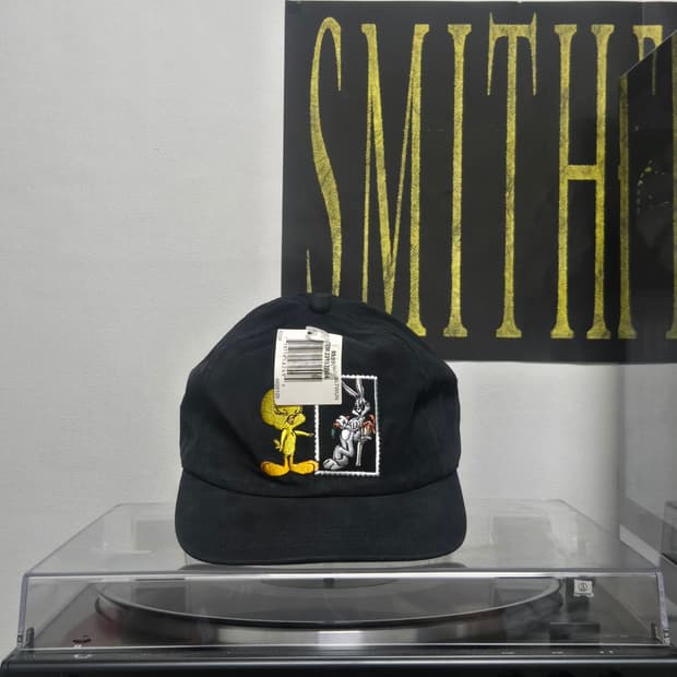 (Dead) 90’s Vintage USPS×Looney Tunescap