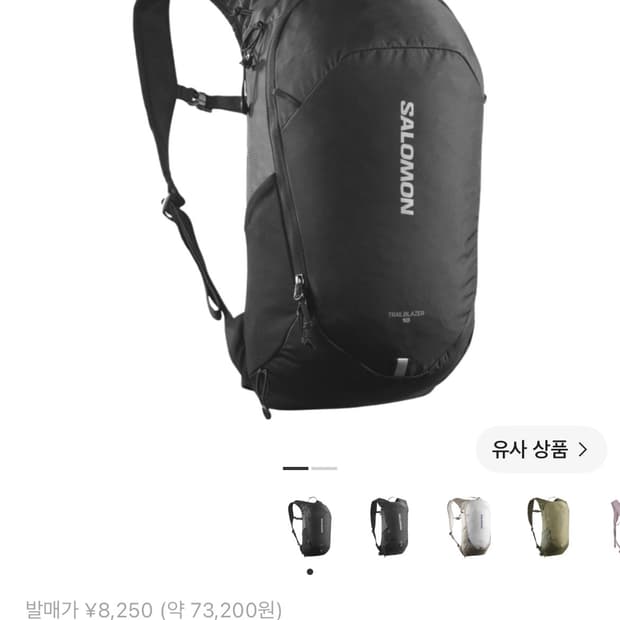 살로몬 트레일블레이저 10