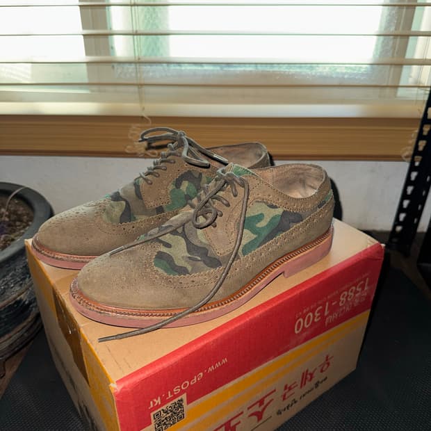 폴로 카모 스웨이드 윙팁 브로그 슈즈 US8