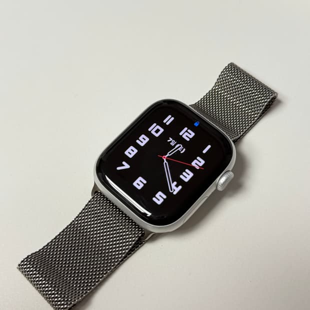 애플워치 10 알루미늄 실버 + 정품 밀레니즈 루프