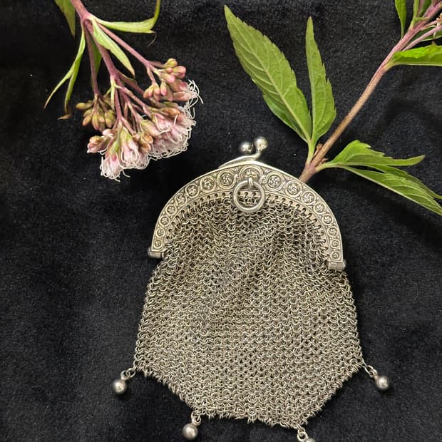 French Coin Silver Chain Purse