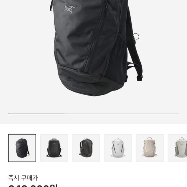 아크테릭스 맨티스 26