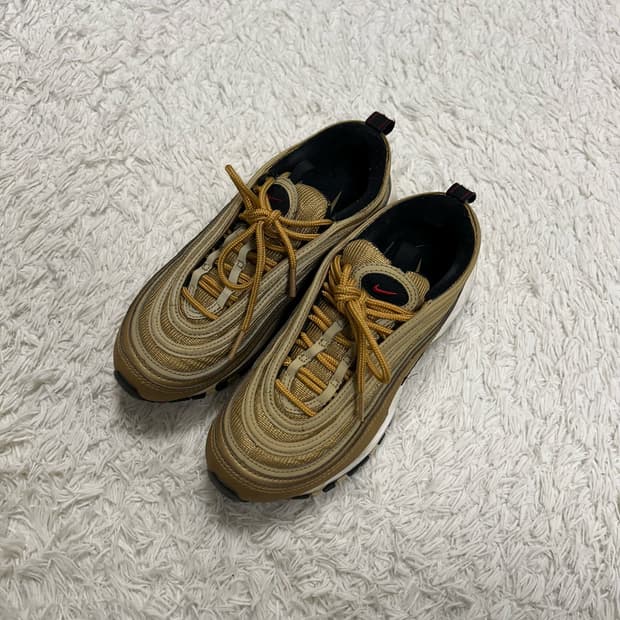 Nike Air Max Sneakers