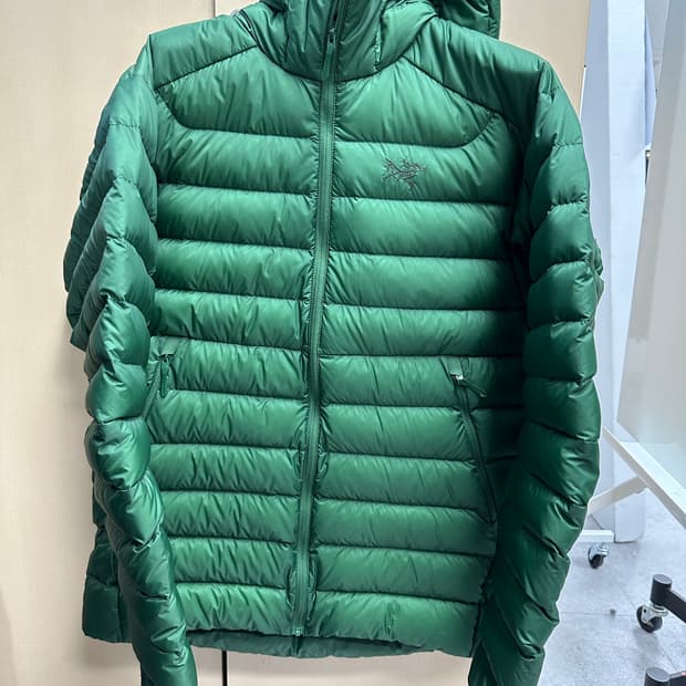 아크테릭스 세륨(Arc’teryx Cerium)후디 에덴그린 M