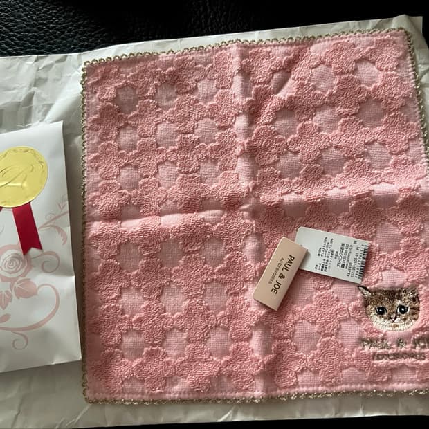 폴앤조 고양이 자수 손수건 핸드타올