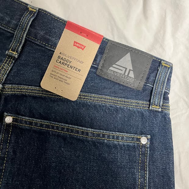 리바이스 실버탭 배기 카펜터 진
