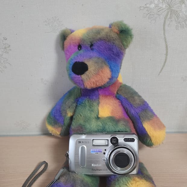 코닥 EasyShare DX6340 디지털 카메라