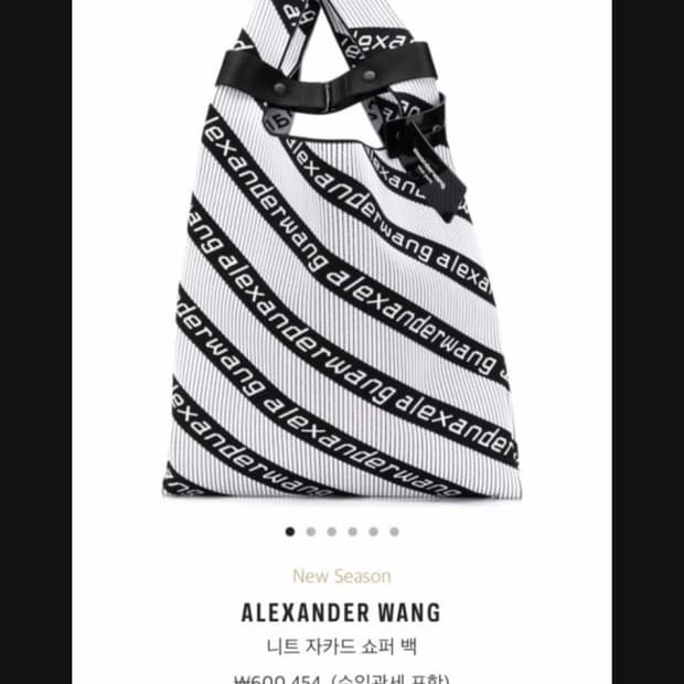 알렉산더왕 가방