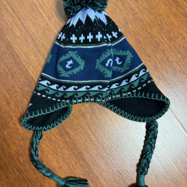 디스이즈네버댓 테슬 비니