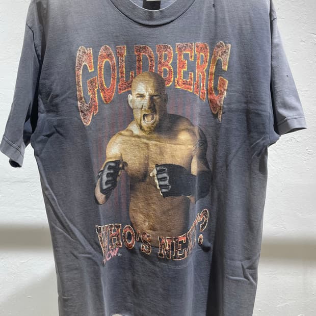 1998 WWE GoldBerg