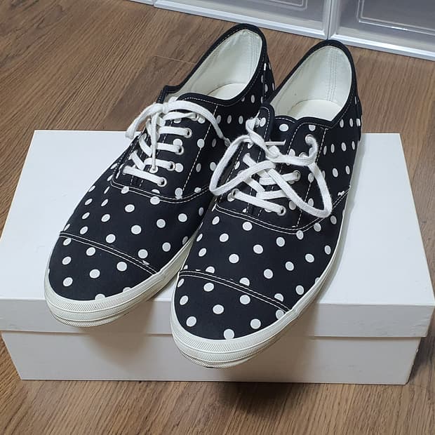 유나이티드 애로우즈 도트 코튼 스니커즈 캔버스 슈즈