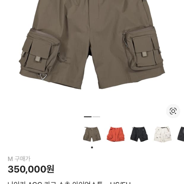 나이키 ACG 카고 쇼츠 아이언스톤 - US M 사이즈