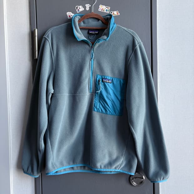 (M, 100) 파타고니아 마이크로디니 하프집 풀오버 후리스