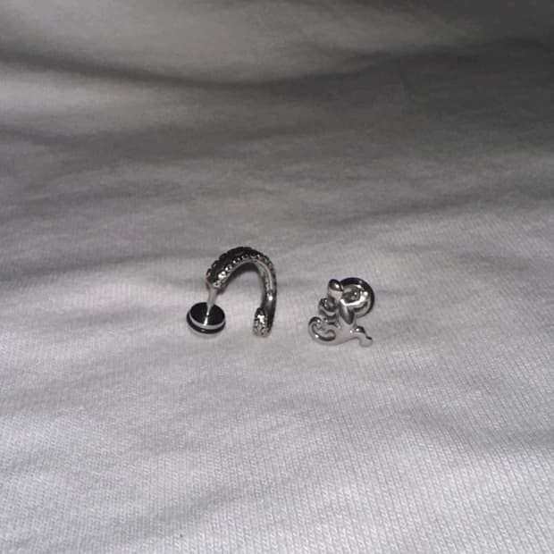 Gecko ! Piercing(2)
