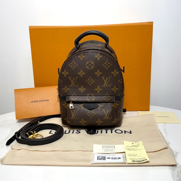 루이비통 팜스프링스 미니