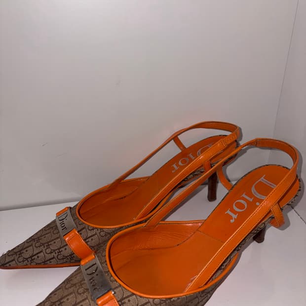 Christian Dior Buckle Heels 디올 오블리크 펌프스