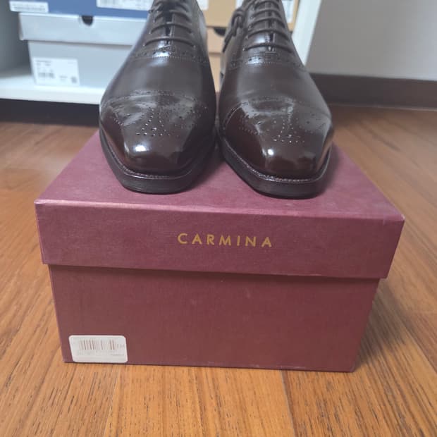 Carmina 브라운 캡토우 구두 [새상품]