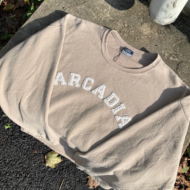 Vintage ARCADIA sweat shirt